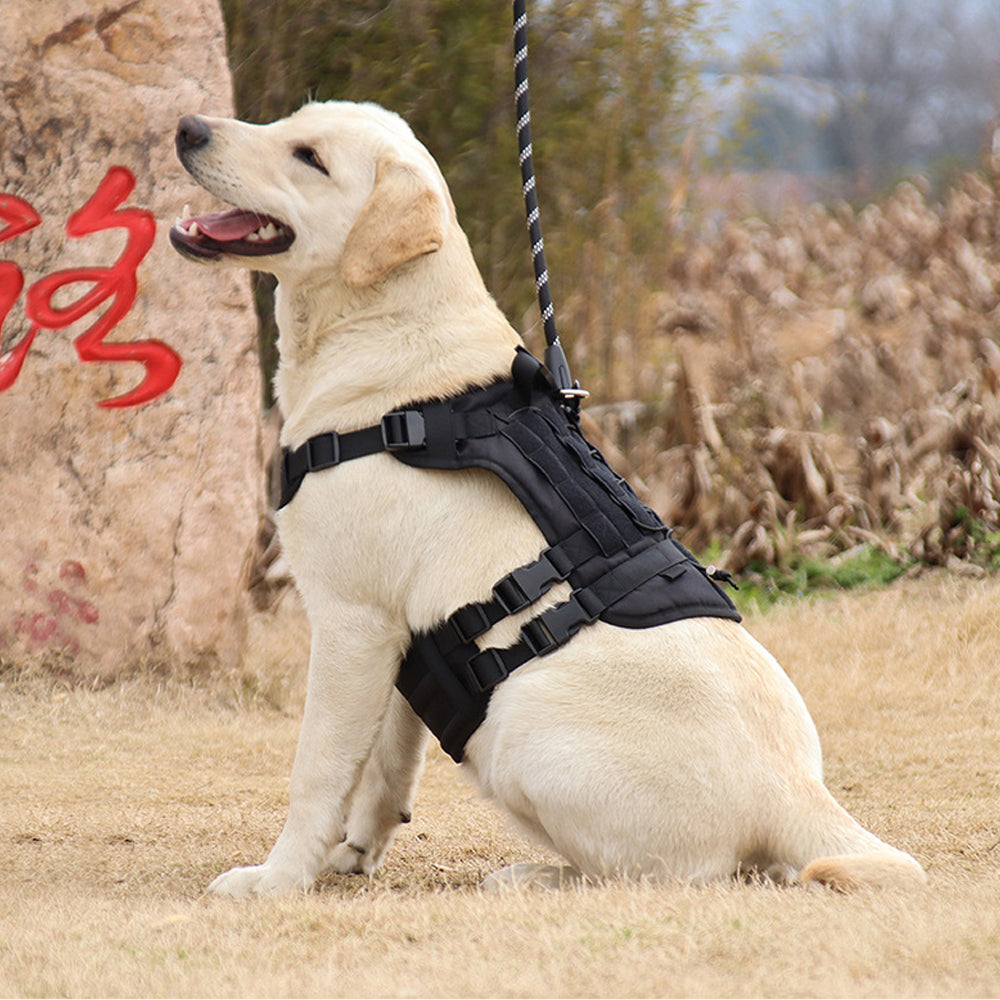 Roarr Heavy Duty Tactical Vest Harness for Dogs, Double Buckles, Bottle Holder On Top.