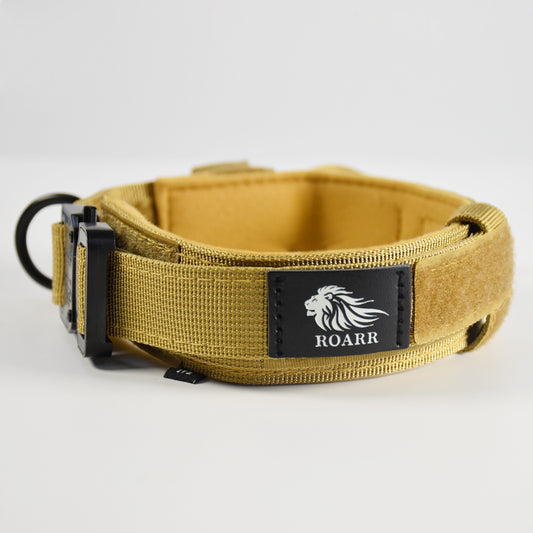 Roarr Heavy Duty Dog Collar and Leash Set – Durable Nylon Collar with Control Handle, Anti-Pull Retractable Leash, and Zinc Alloy Buckles for Medium to Large Dogs