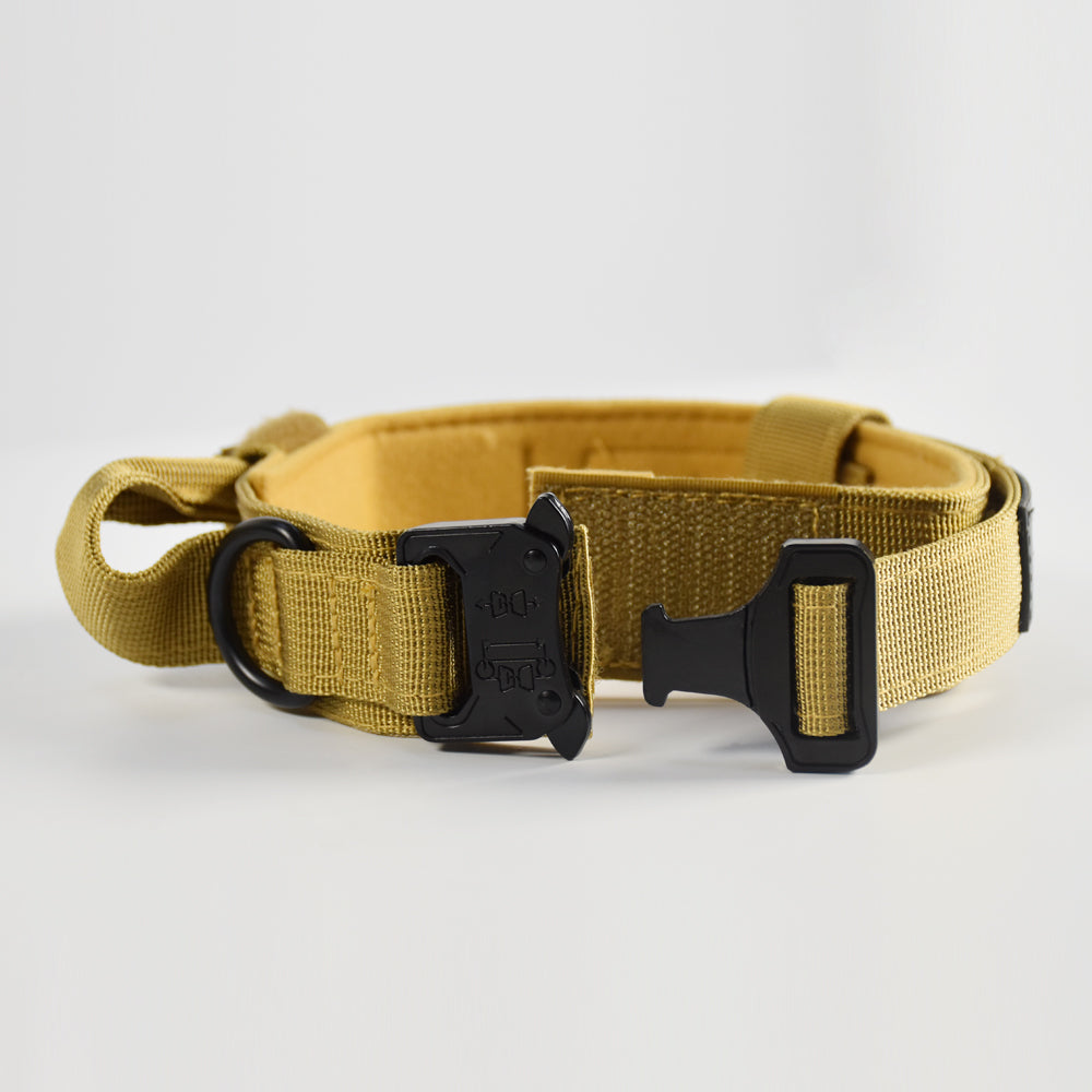 Roarr Heavy Duty Dog Collar and Leash Set – Durable Nylon Collar with Control Handle, Anti-Pull Retractable Leash, and Zinc Alloy Buckles for Medium to Large Dogs