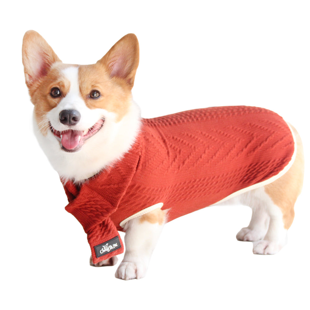 Roarr Streetwear Sweater Orange