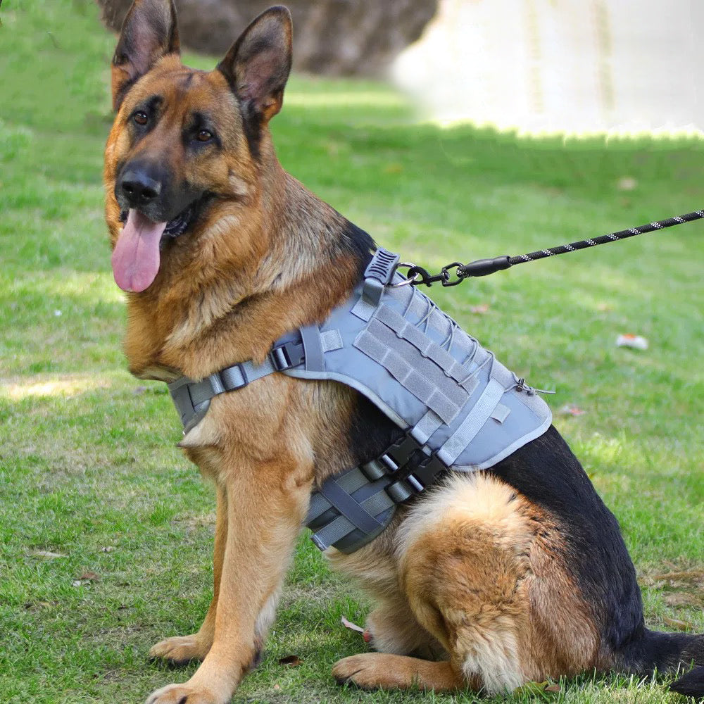 Roarr Heavy Duty Tactical Vest Harness for Dogs, Double Buckles, Bottle Holder On Top.
