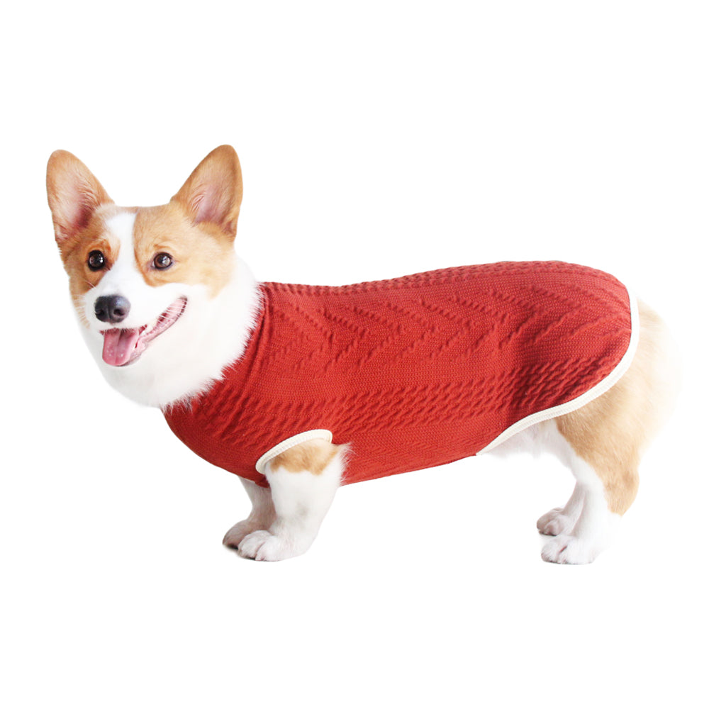 Roarr Streetwear Sweater Orange