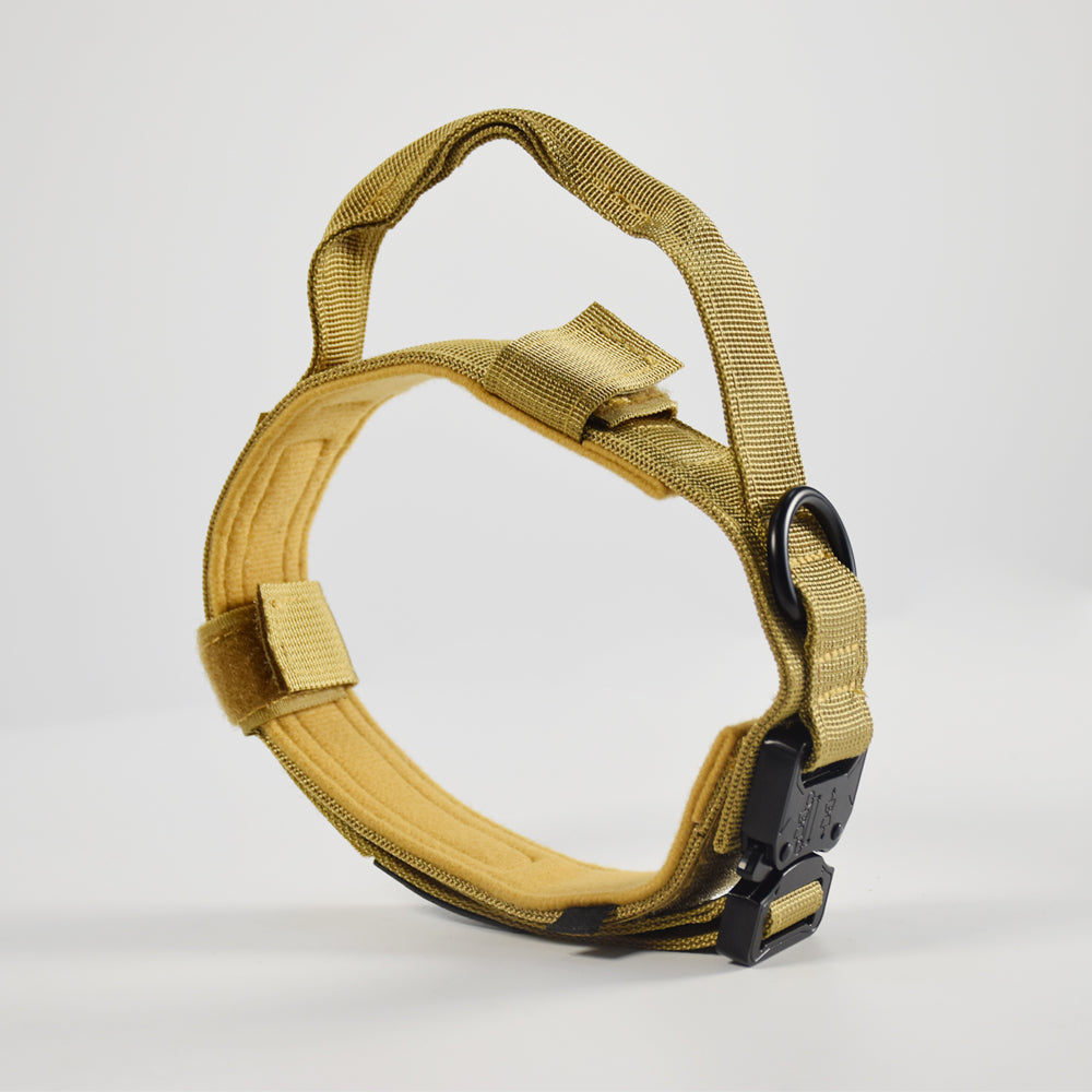 Roarr Heavy Duty Dog Collar and Leash Set – Durable Nylon Collar with Control Handle, Anti-Pull Retractable Leash, and Zinc Alloy Buckles for Medium to Large Dogs