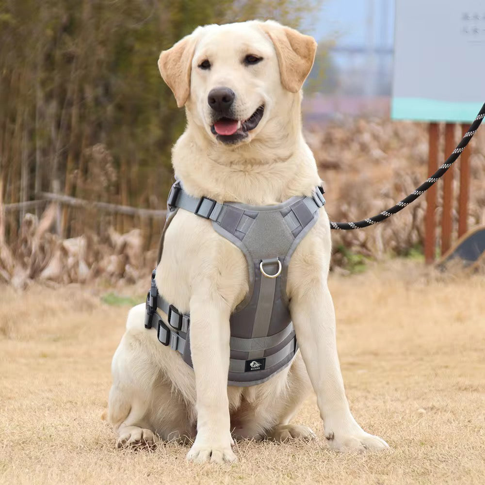 Roarr Heavy Duty Tactical Vest Harness for Dogs, Double Buckles, Bottle Holder On Top.
