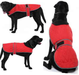 Roarr American-style casual trench coat with reflective trim