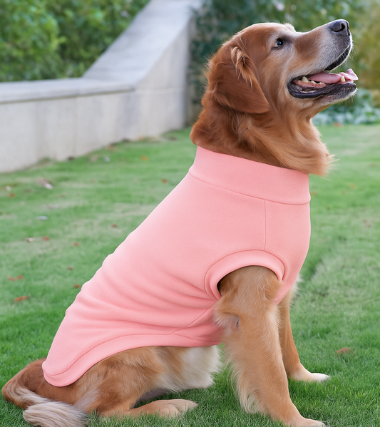 Roarr Streetwear Vest