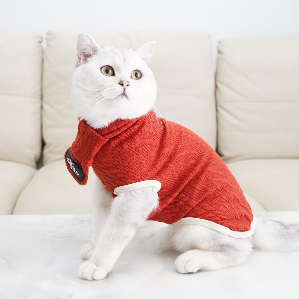 Roarr Streetwear Sweater Orange