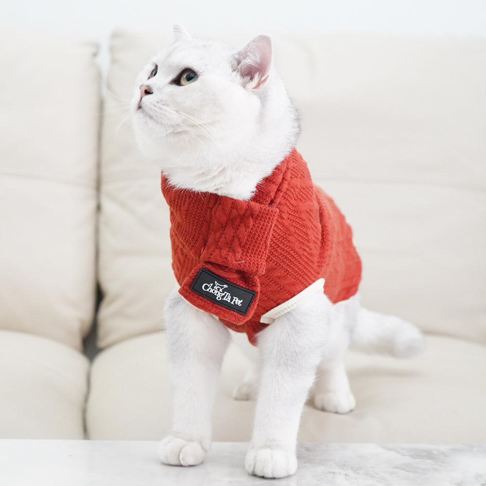 Roarr Streetwear Sweater Orange