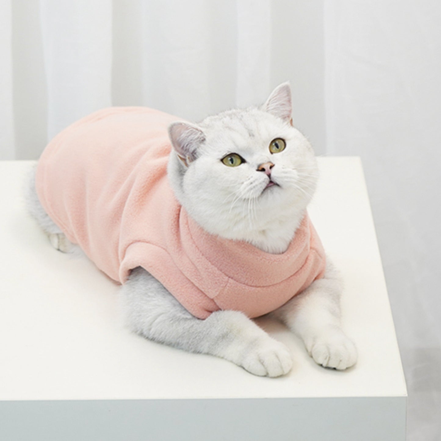 Roarr Streetwear Vest