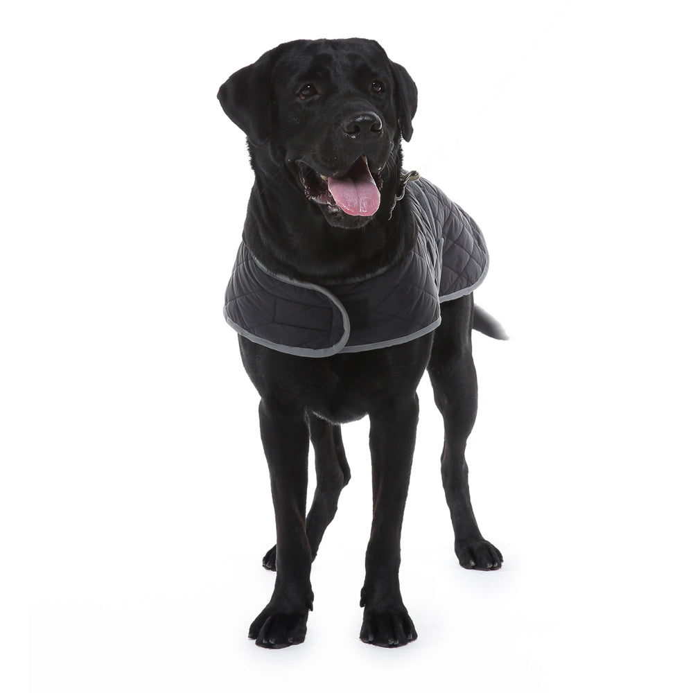 Roarr Reflective Military Coat