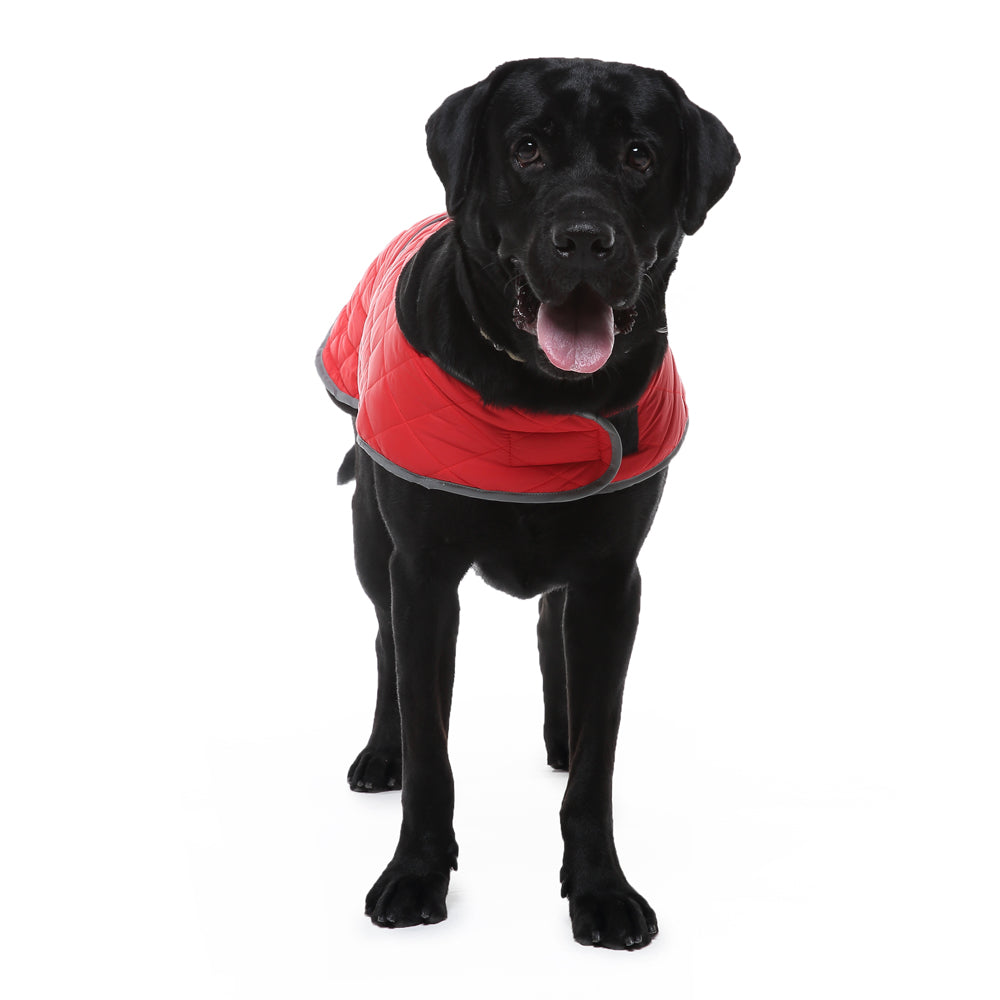 Roarr Reflective Military Coat