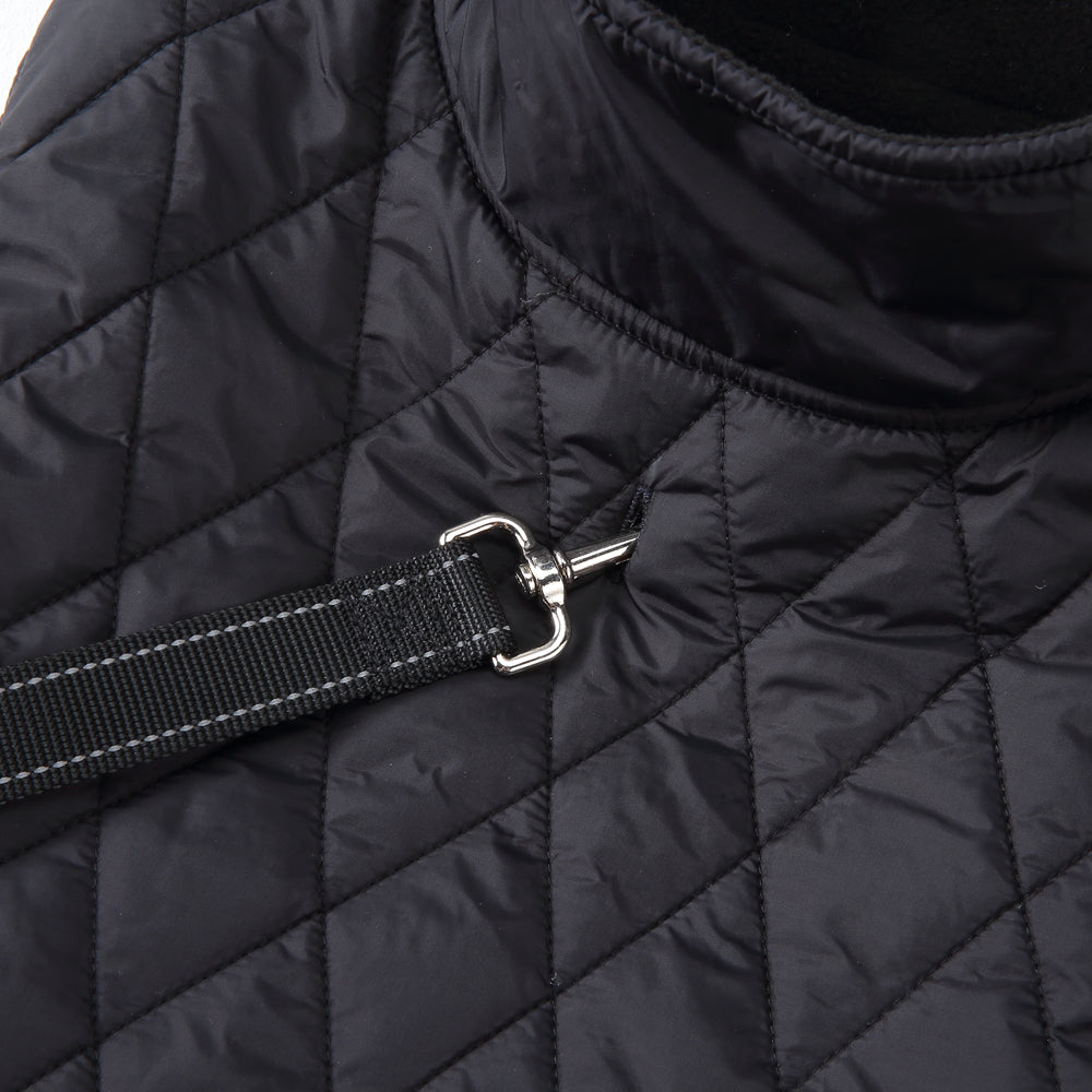 Roarr Stripes Winter Jacket