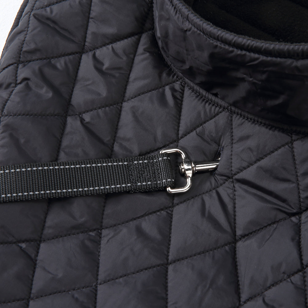 Roarr Stripes Winter Jacket