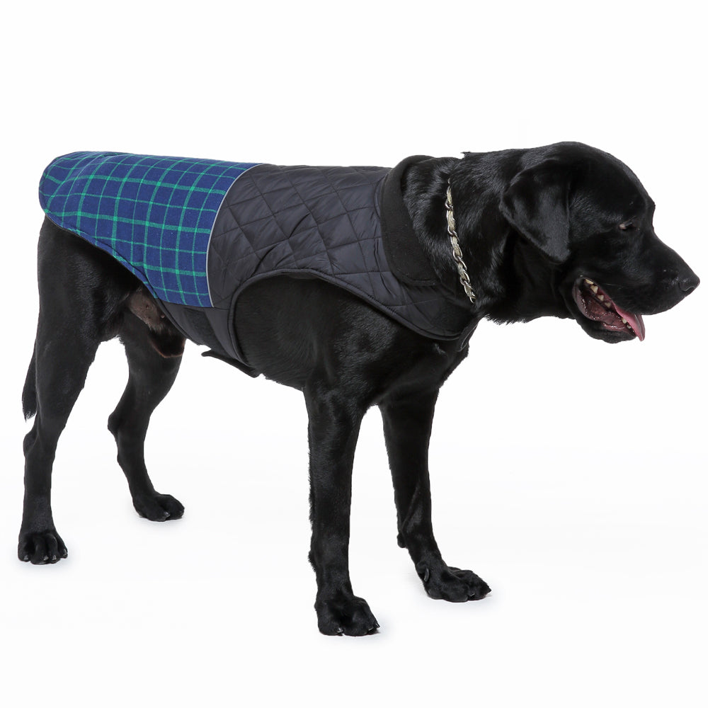 Roarr Stripes Winter Jacket