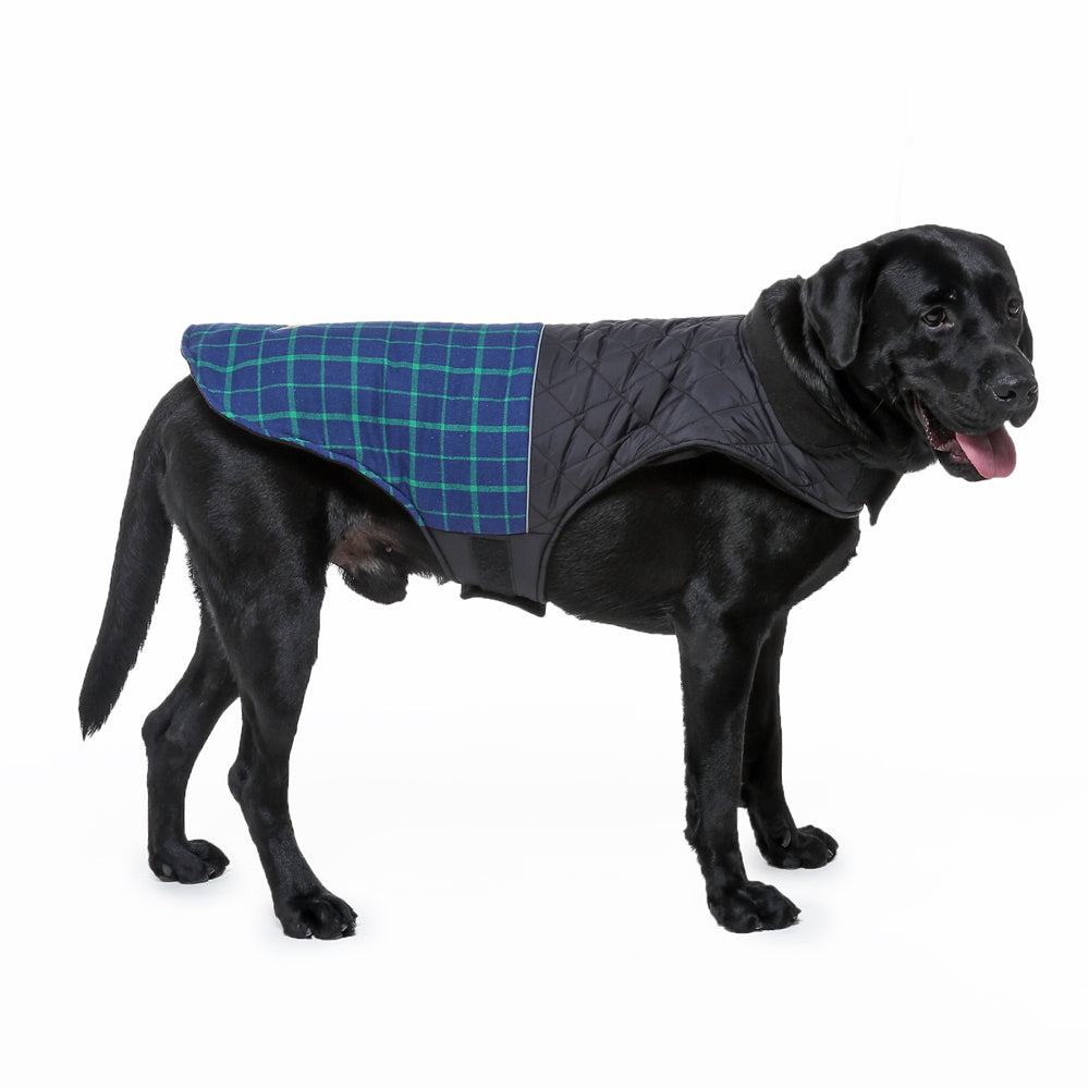 Roarr Stripes Winter Jacket