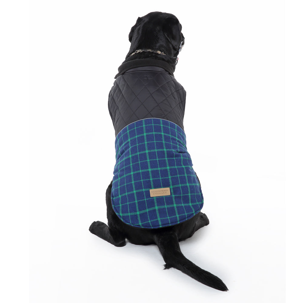 Roarr Stripes Winter Jacket