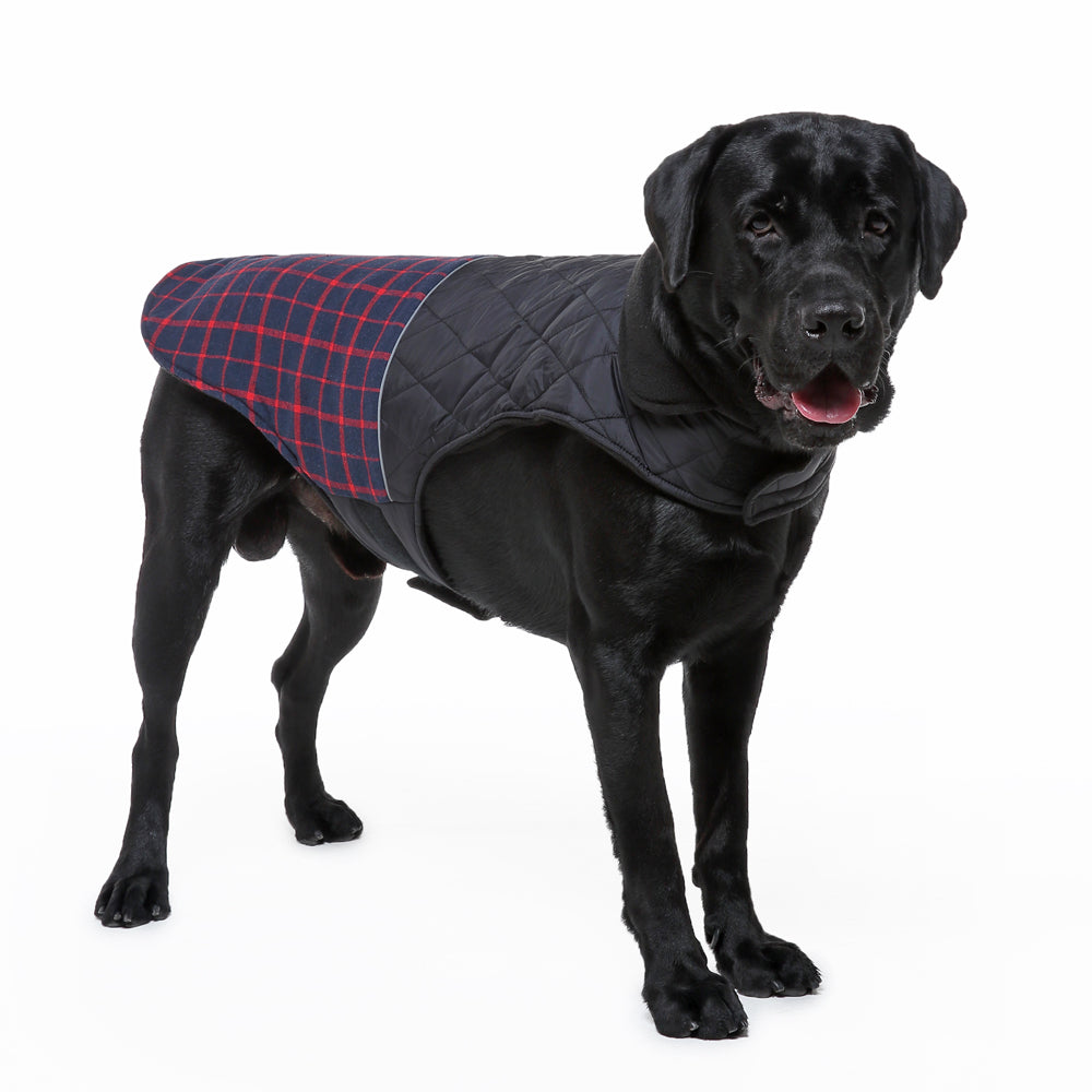 Roarr Stripes Winter Jacket