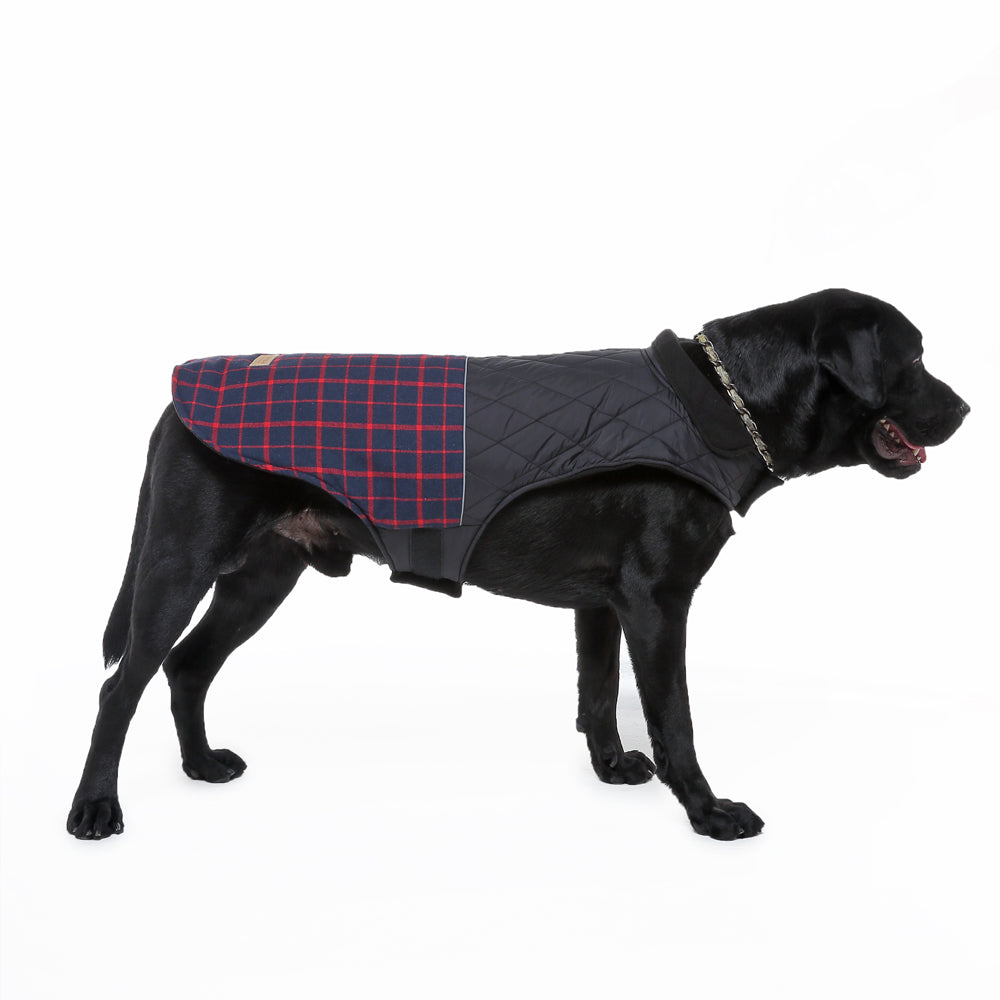 Roarr Stripes Winter Jacket