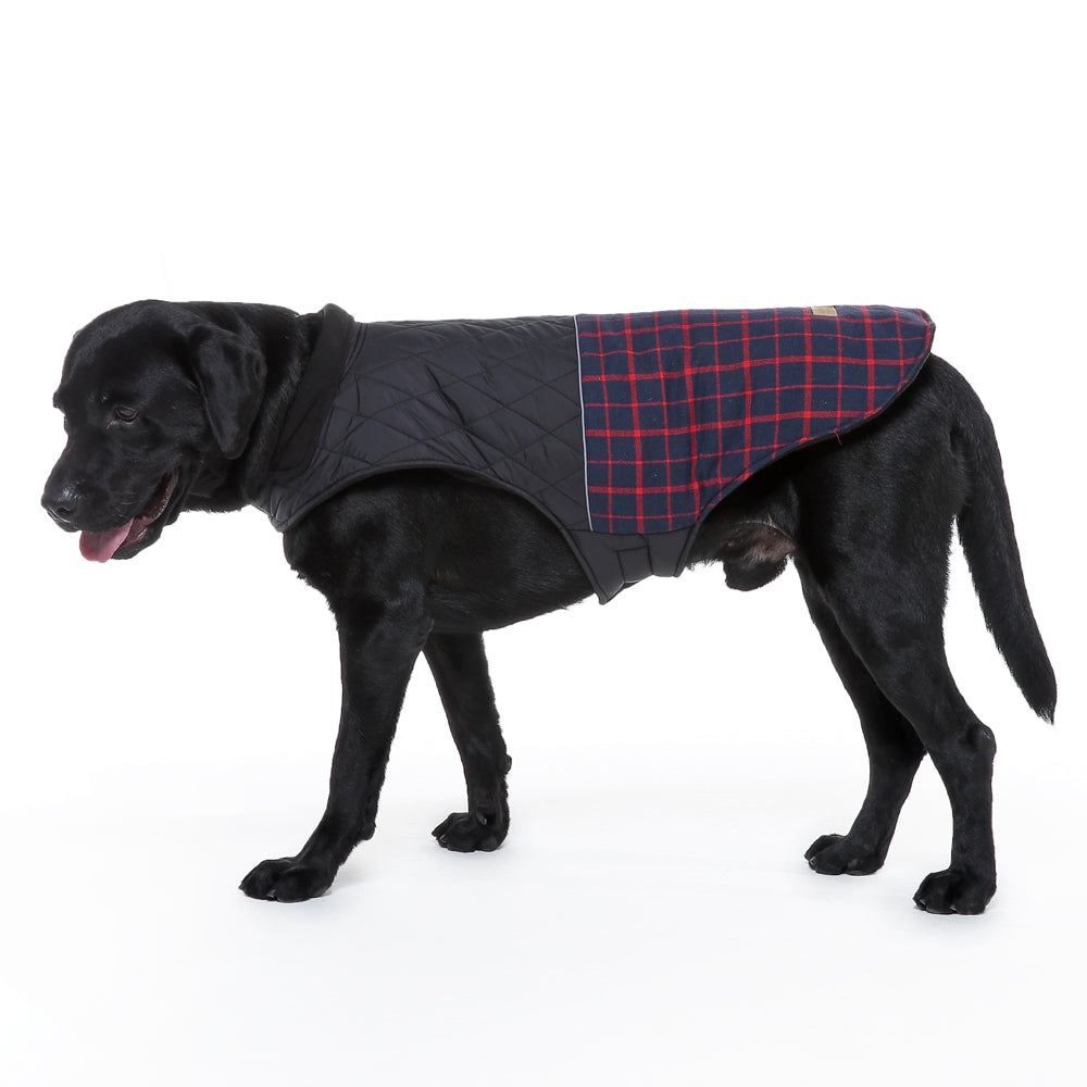 Roarr Stripes Winter Jacket