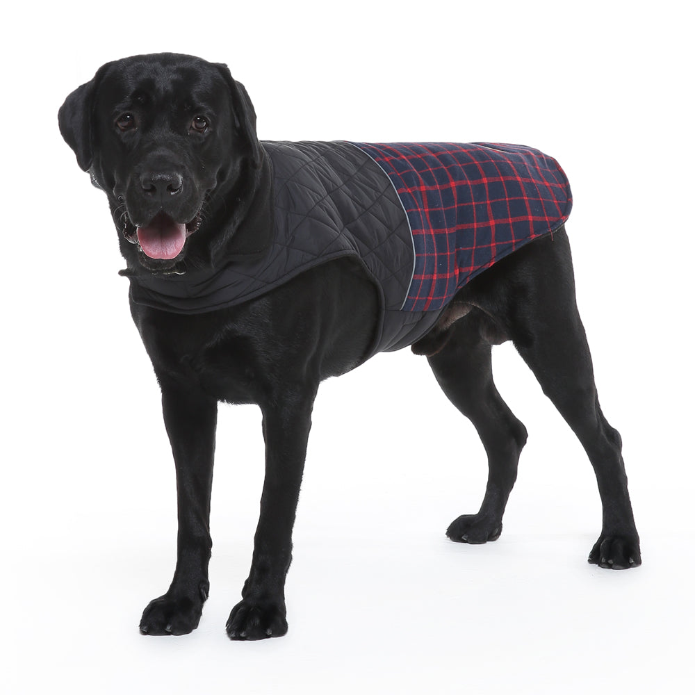 Roarr Stripes Winter Jacket