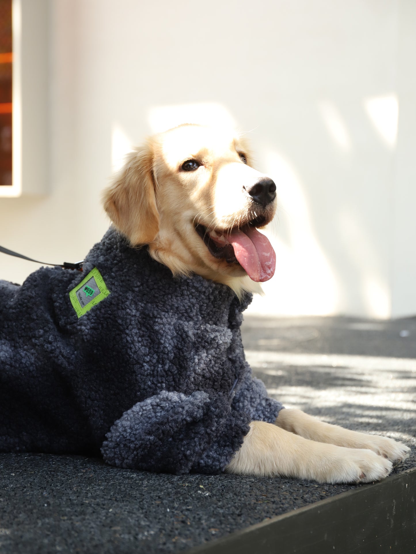 Roarr Furry Winter Coat