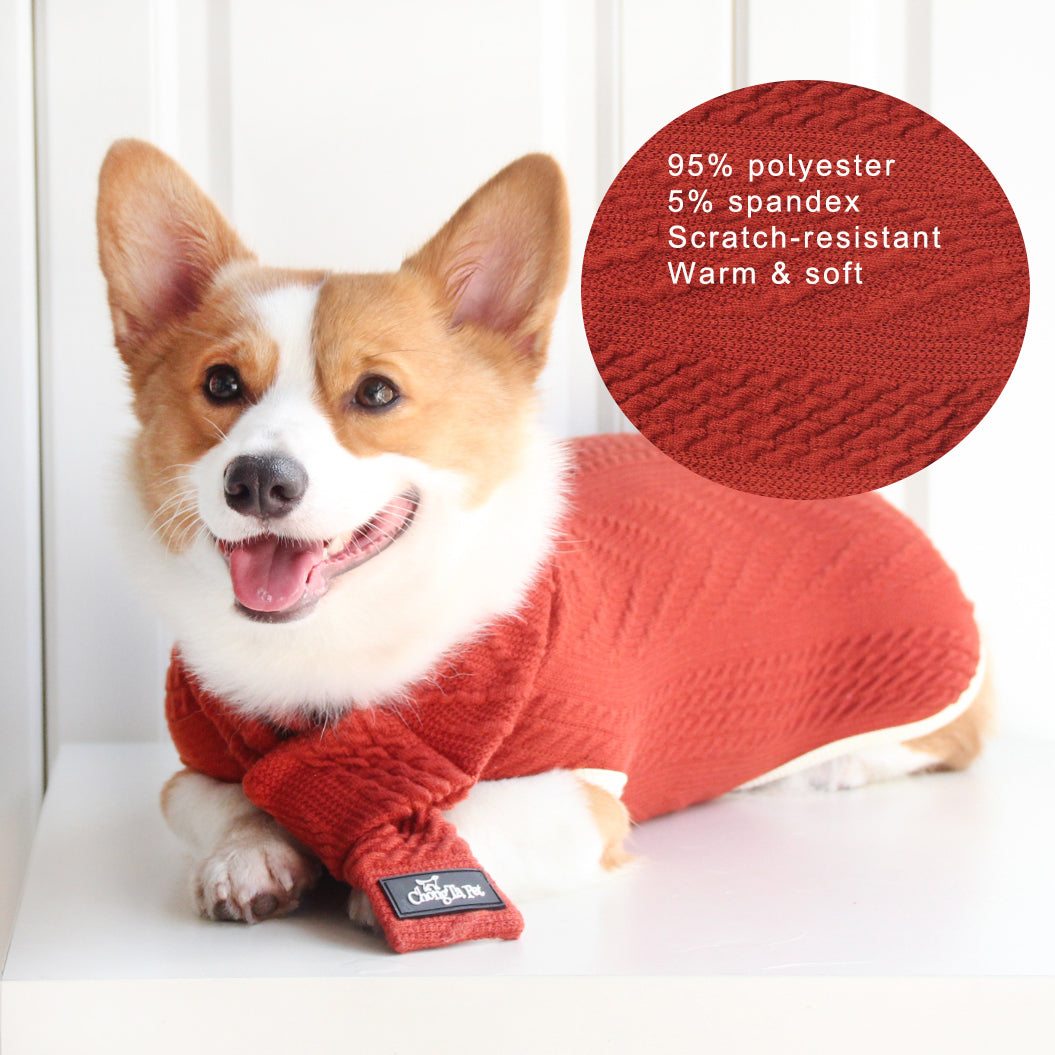 Roarr Streetwear Sweater Orange