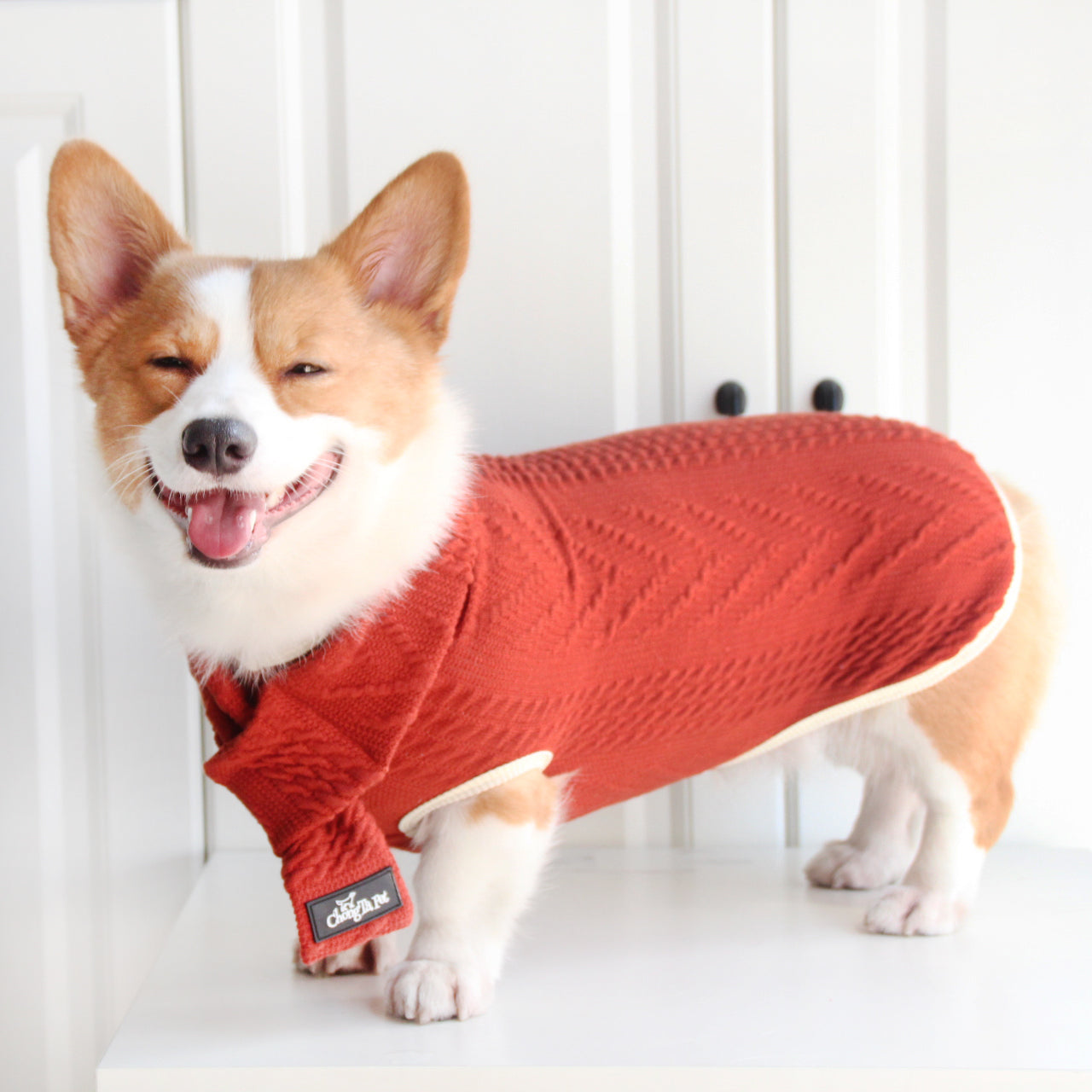 Roarr Streetwear Sweater Orange