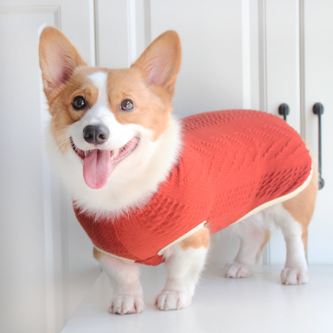 Roarr Streetwear Sweater Orange