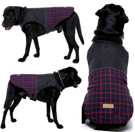 Roarr Stripes Winter Jacket