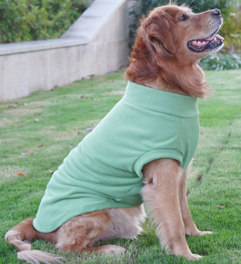 Roarr Streetwear Vest