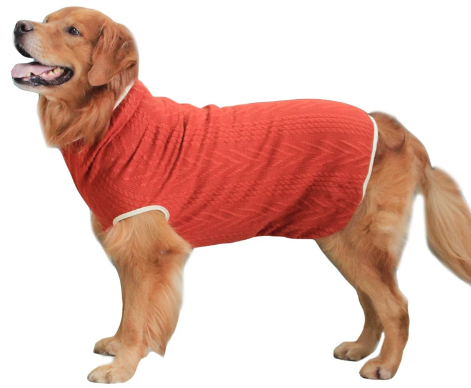 Roarr Streetwear Sweater Orange