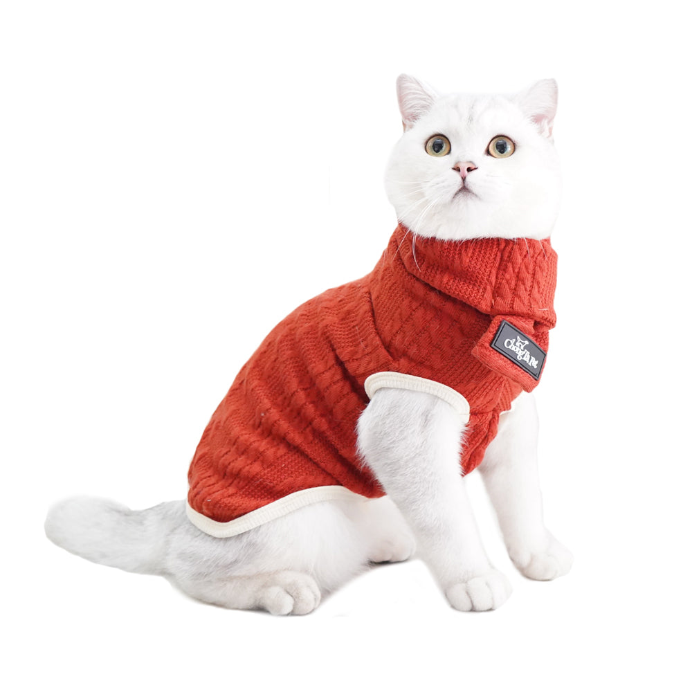 Roarr Streetwear Sweater Orange